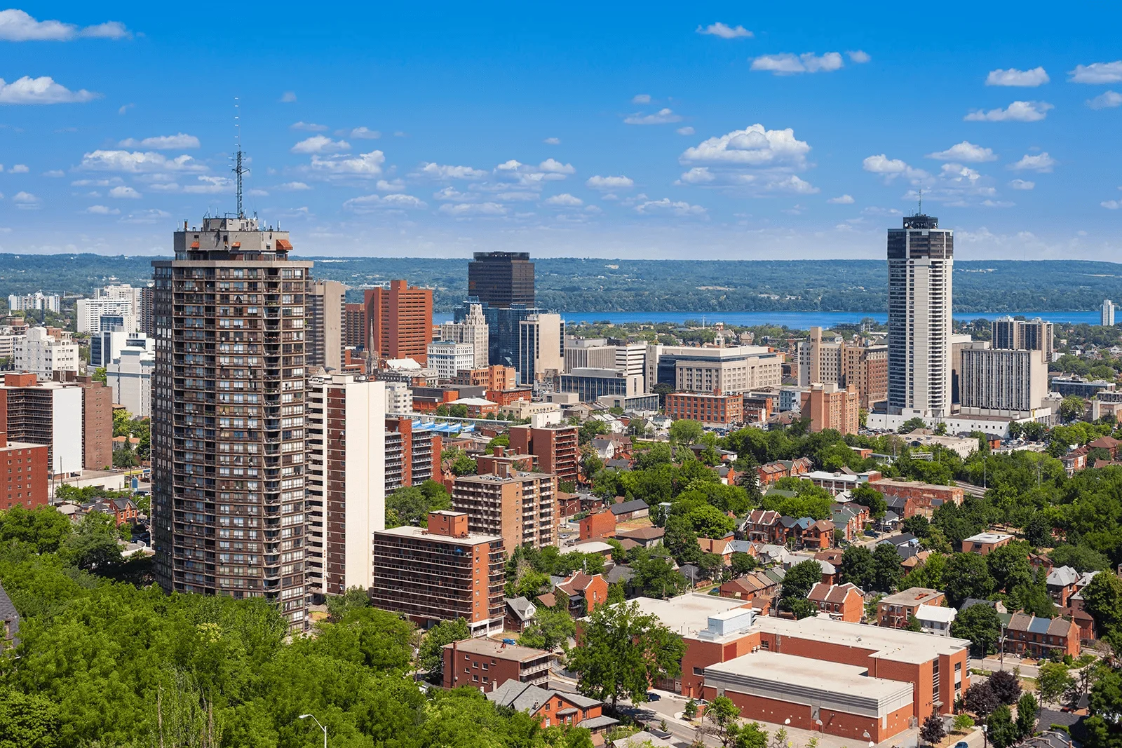 The Montreal skyline above the trees of the surrounding neighbourhoods